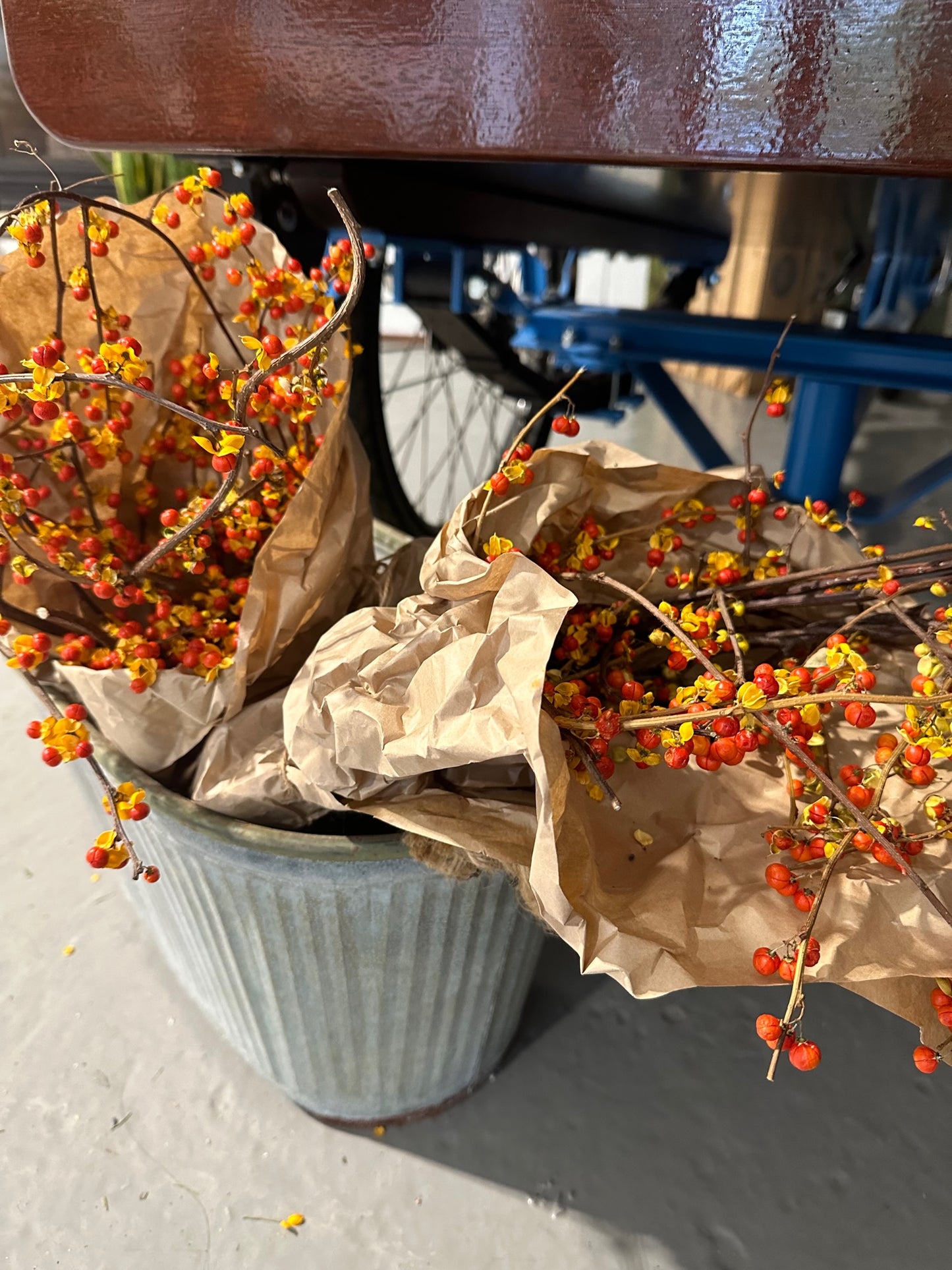 Dried Bittersweet Bunch
