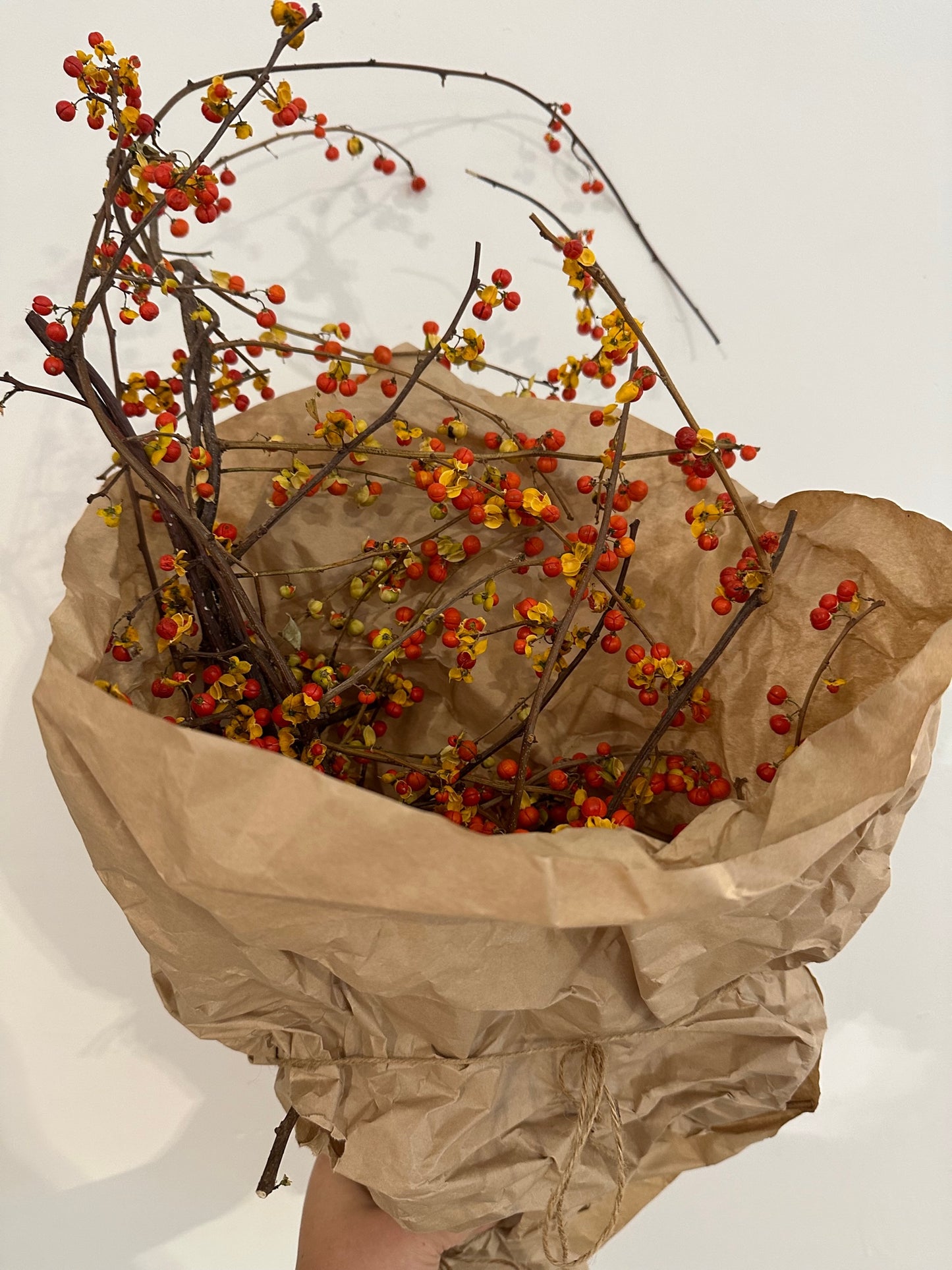 Dried Bittersweet Bunch