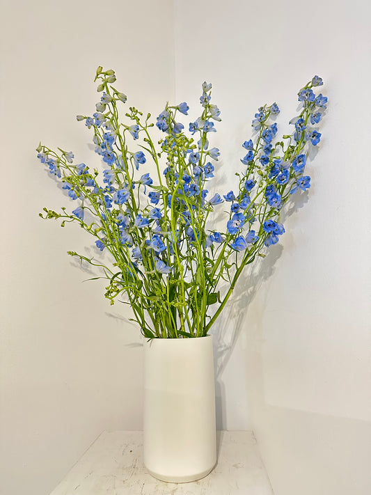 Sky Blue Delphiniums Vase Arrangement