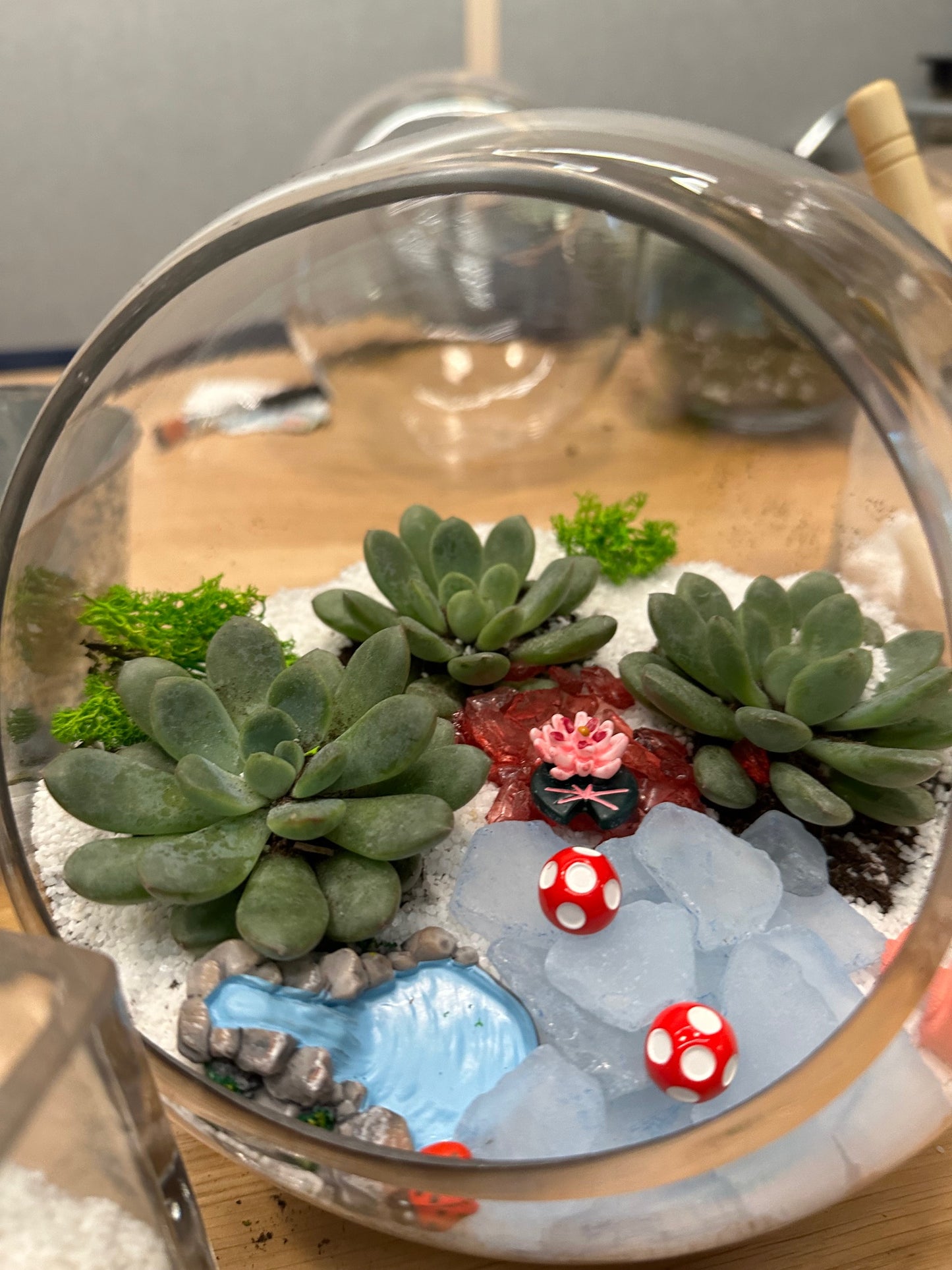 Miniature Succulent Terrarium Workshop