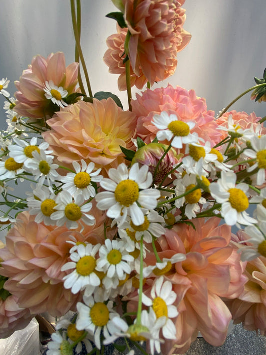 Dahlia Daydream Bouquet, by Lou-Lou's Flower Truck