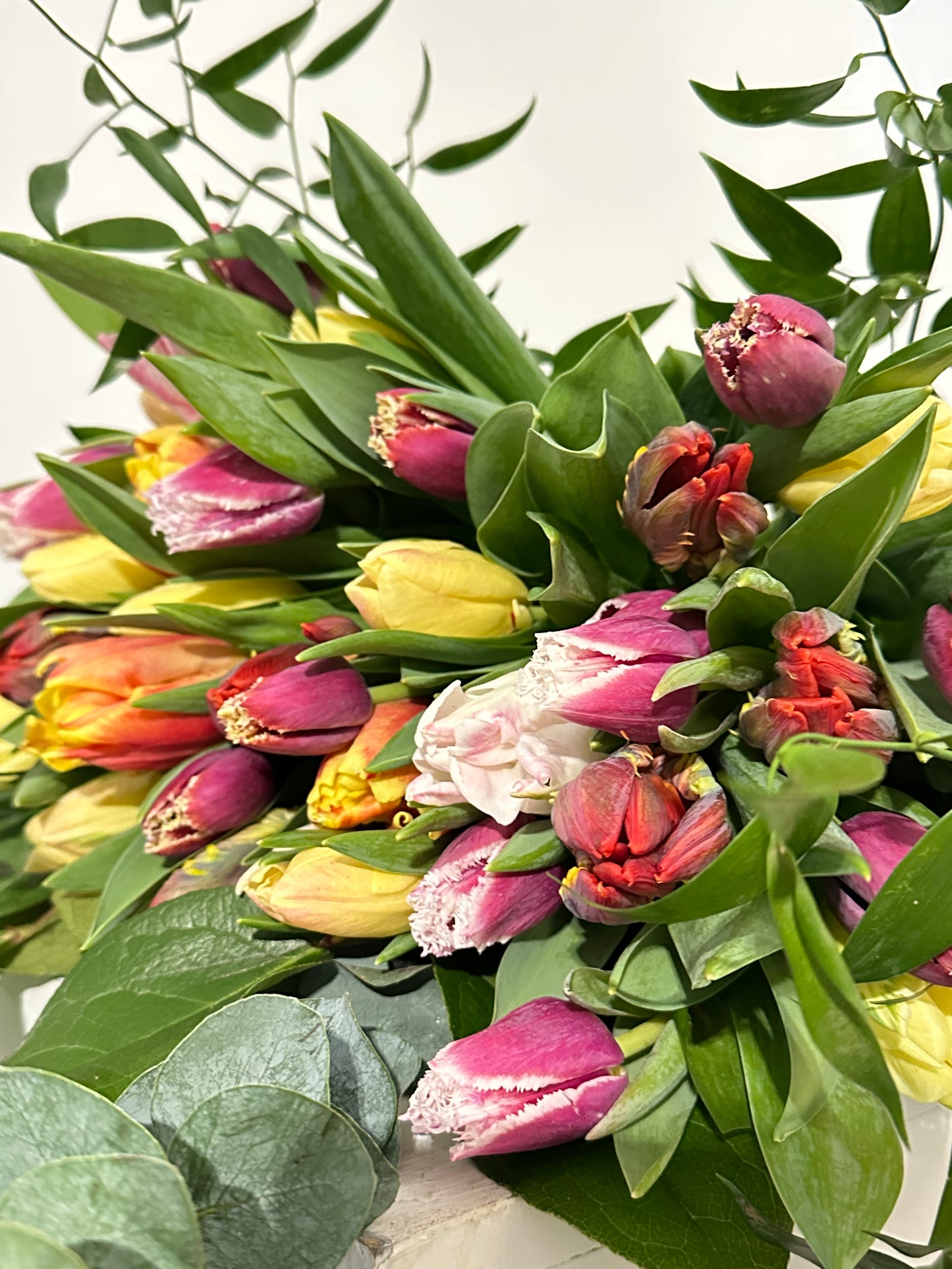 Premium Tulip Medley (25 Stems)