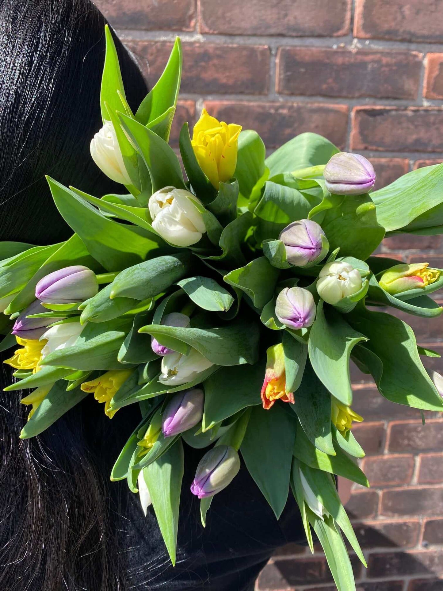Fancy Premium 30-Stem Mixed Tulip Bouquet, by Lou-Lou's Flower Truck