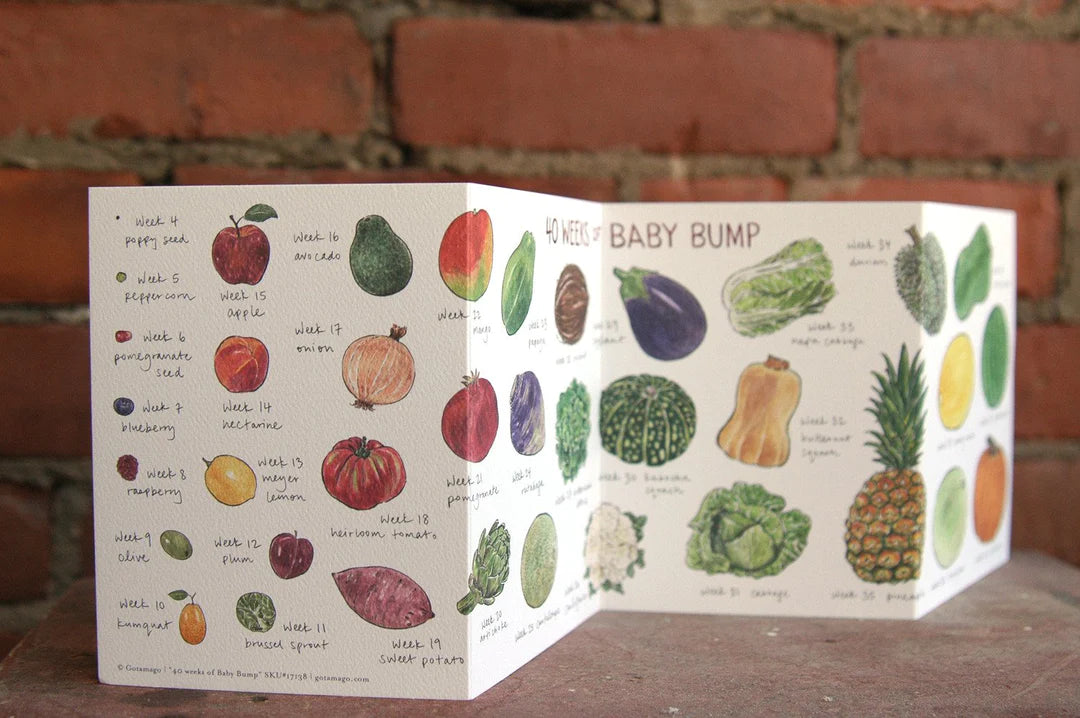 40 Weeks of Baby Bump Accordion Card