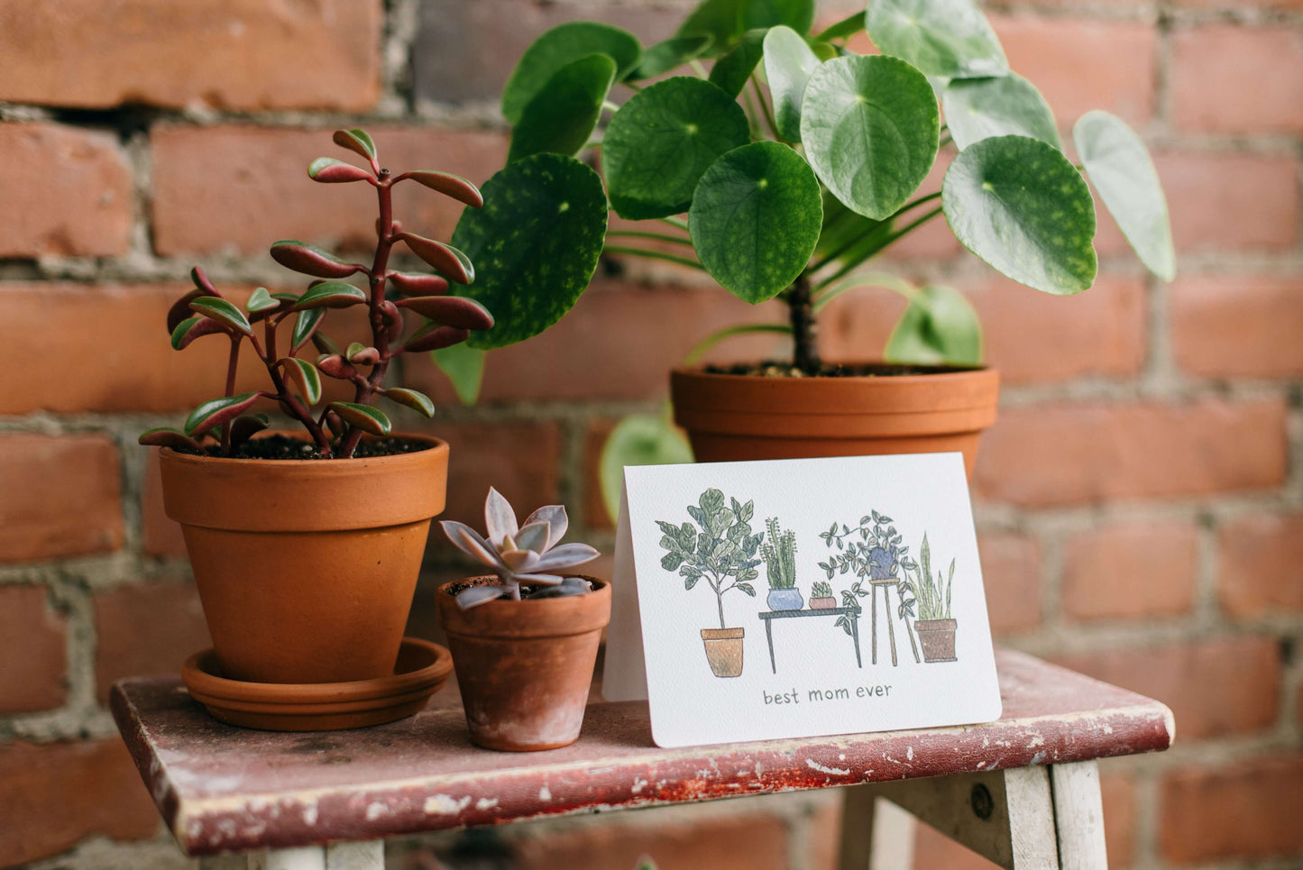 "Best Mom Ever" Plant Mom Card by Gotamago, by Lou-Lou's Flower Truck