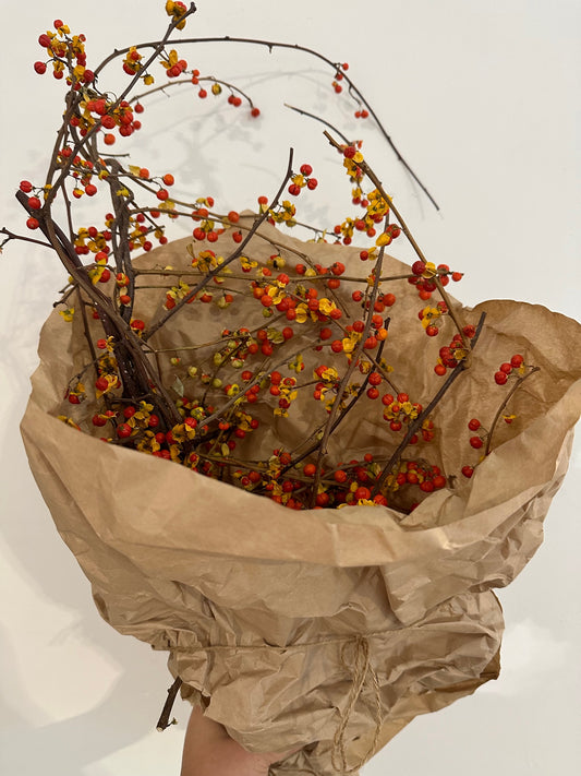 Dried Bittersweet Bunch