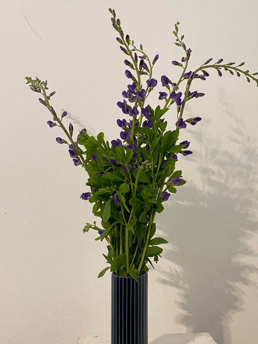 Wild Indigo in Midnight Blue Fable Vase