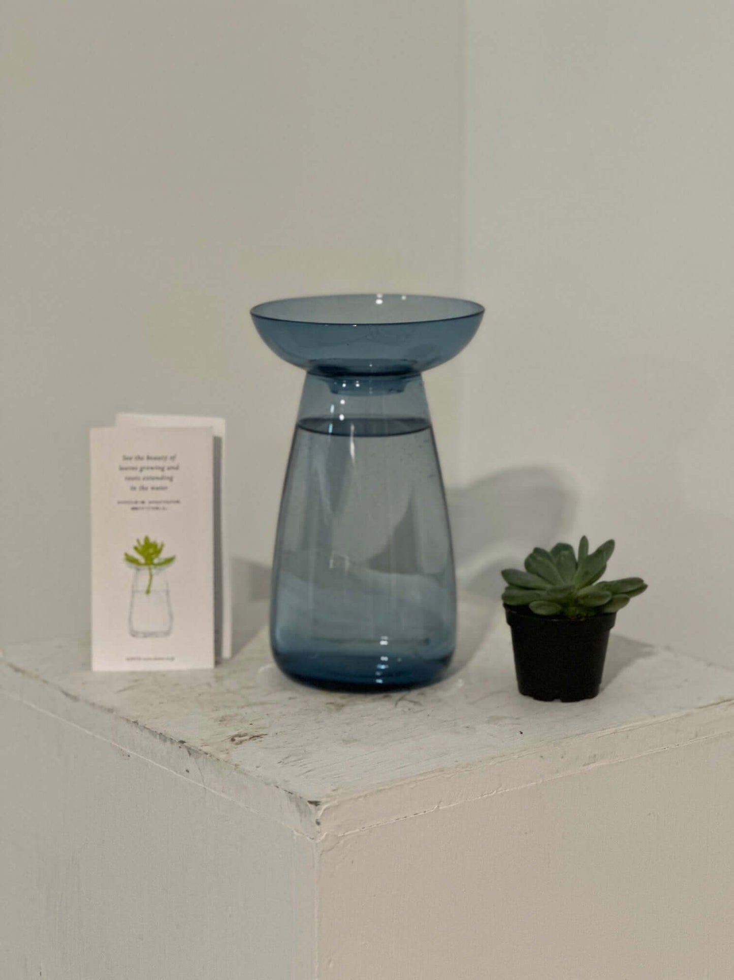 Kinto AQUA CULTURE Vase with Succulent