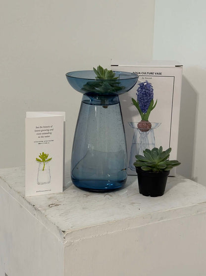 Kinto AQUA CULTURE Vase with Succulent