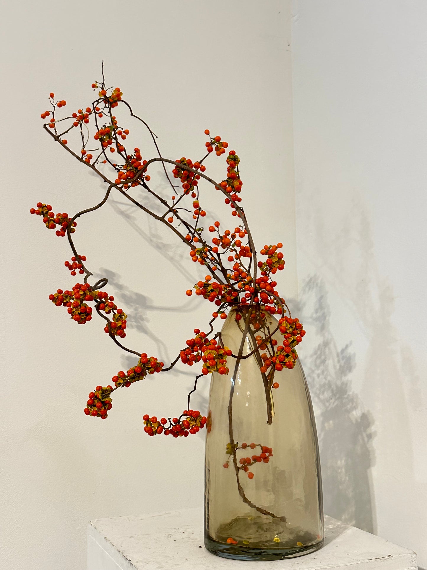 Dried Bittersweet Branches in Sepia Vase