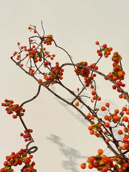 Dried Bittersweet Branches in Sepia Vase