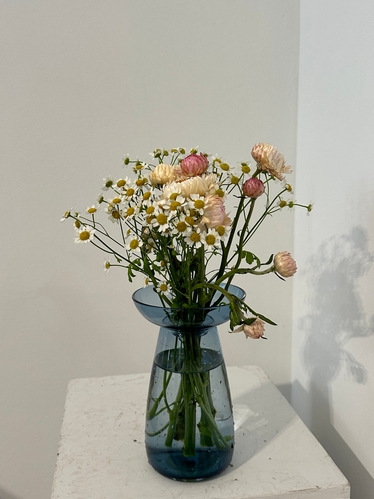 Kinto AQUA CULTURE Vase with Chamomile and Strawflowers