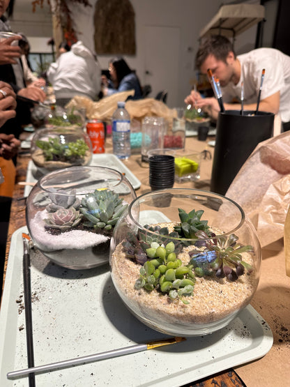 miniature succulent terrarium Miniature Succulent Terrarium Workshop
