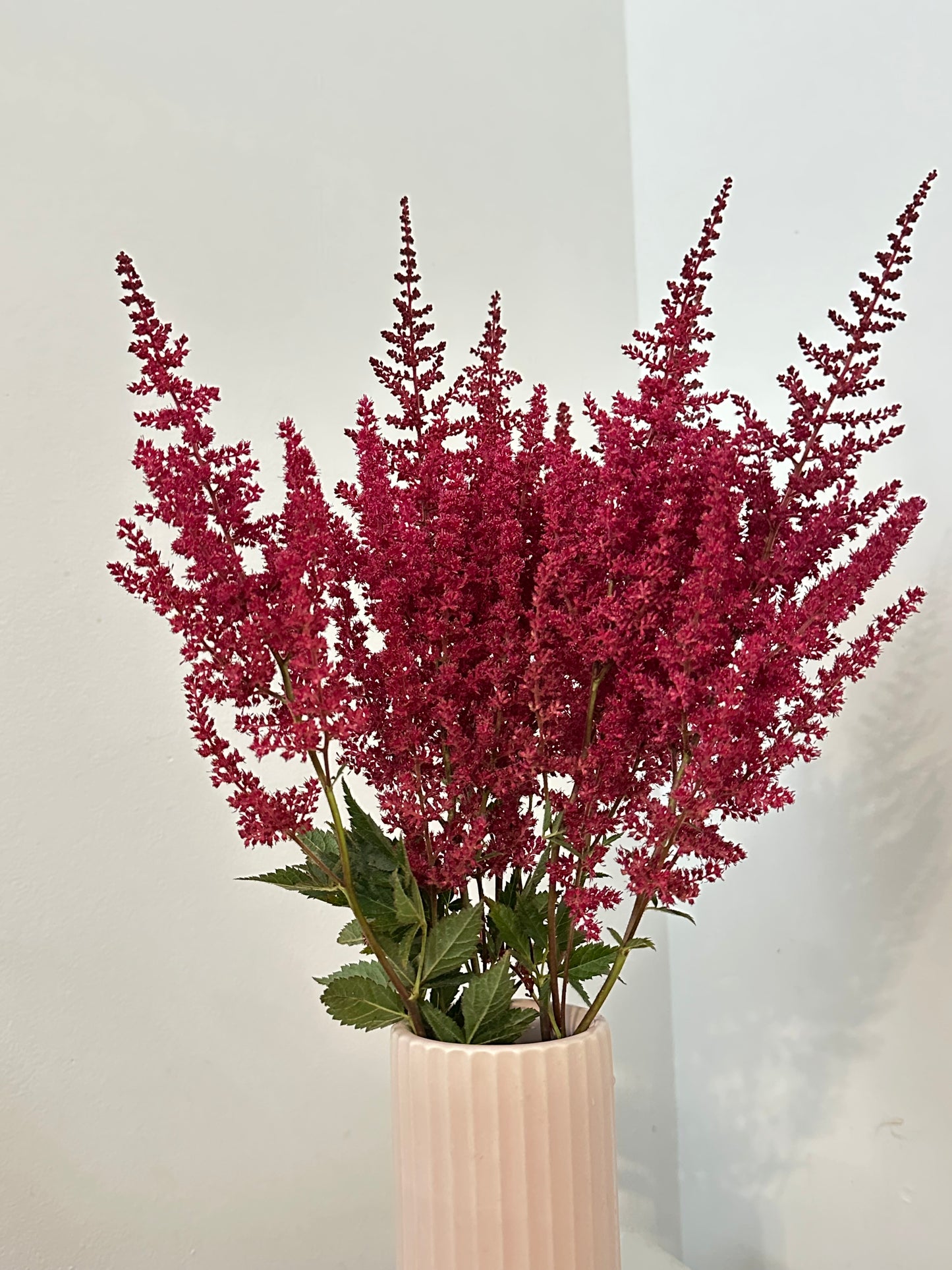 Astilbes in Light Pink Fable Vase