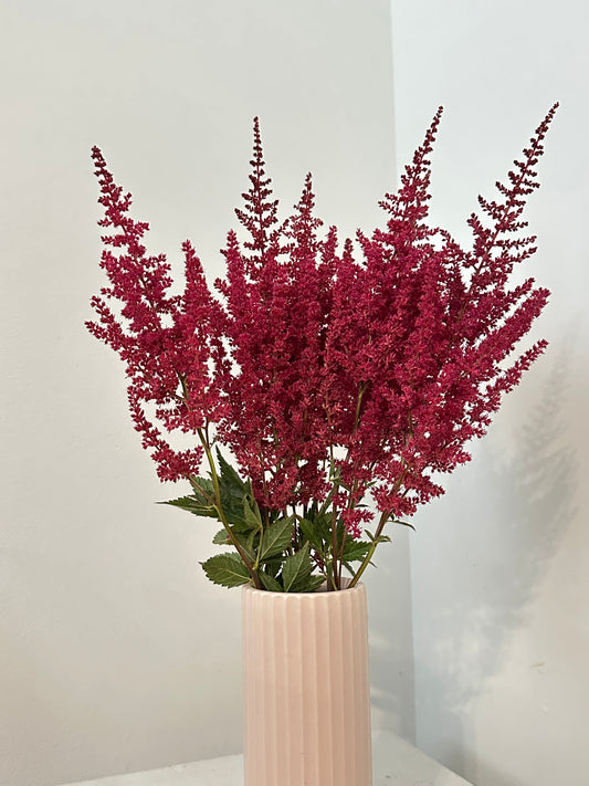 Astilbes in Light Pink Fable Vase