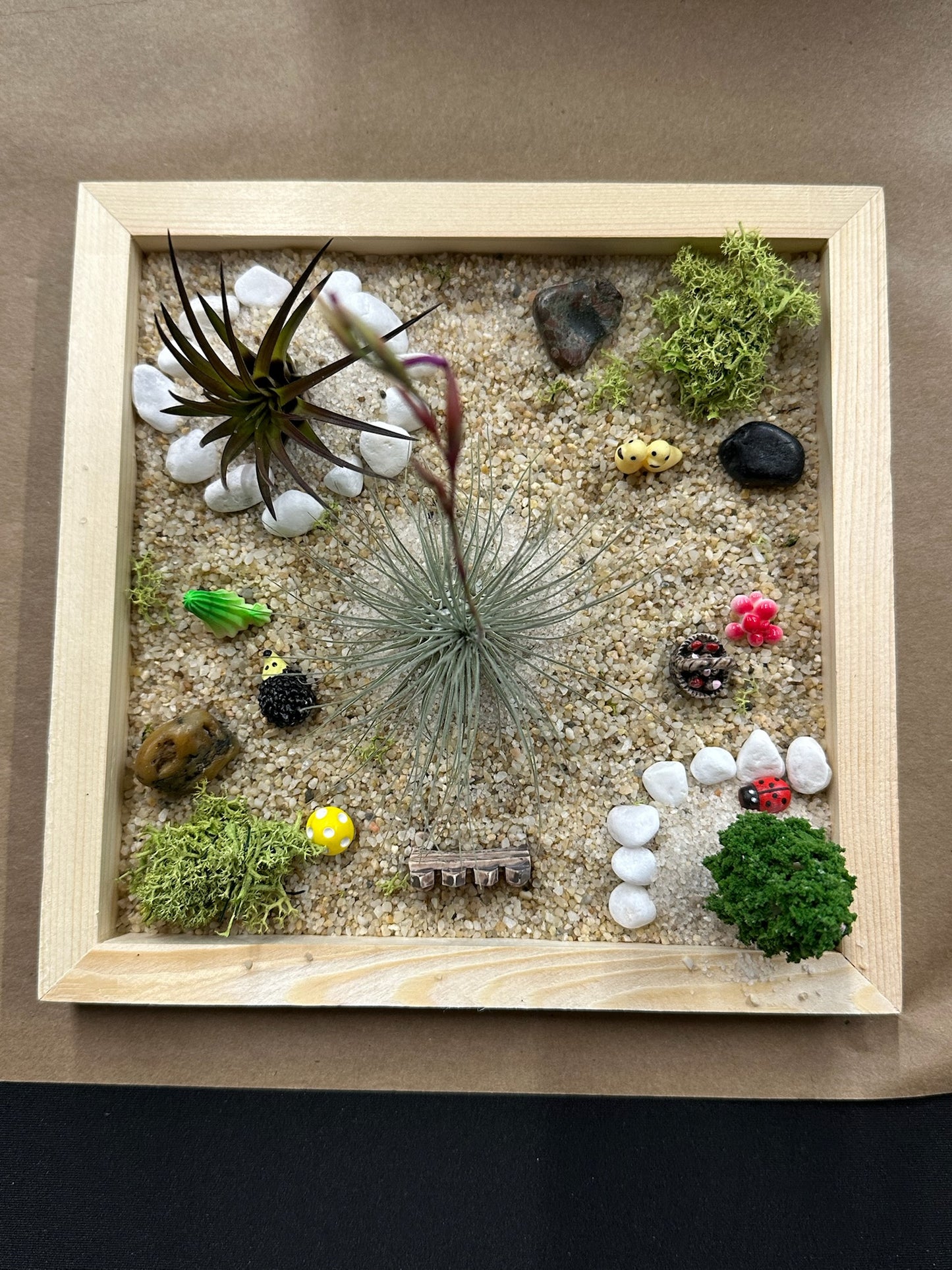Zen Garden Box Kit (Delivered to your doorstep!)