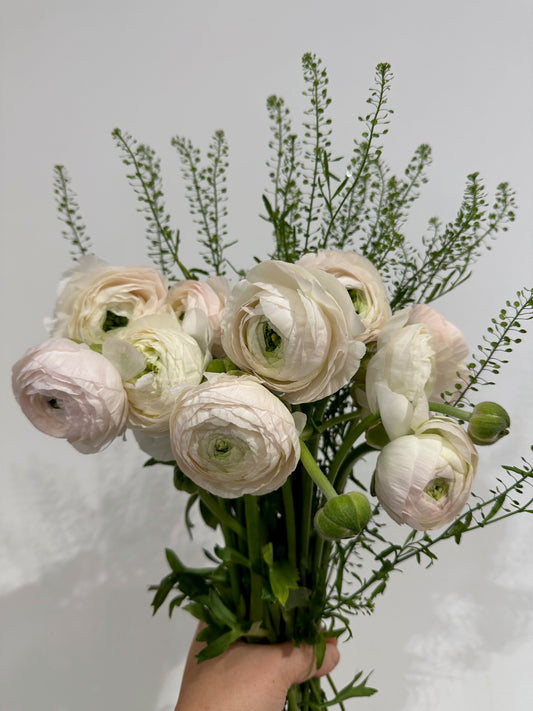 Special of the Week: Ranunculus Bundle