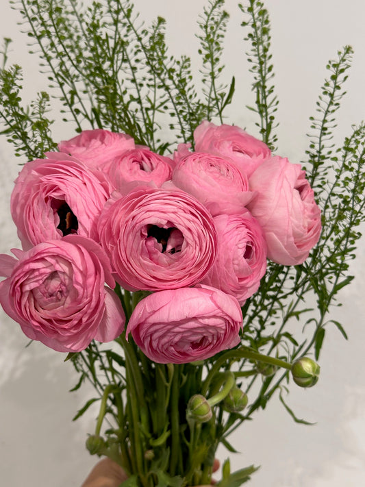 Special of the Week: Ranunculus Bundle
