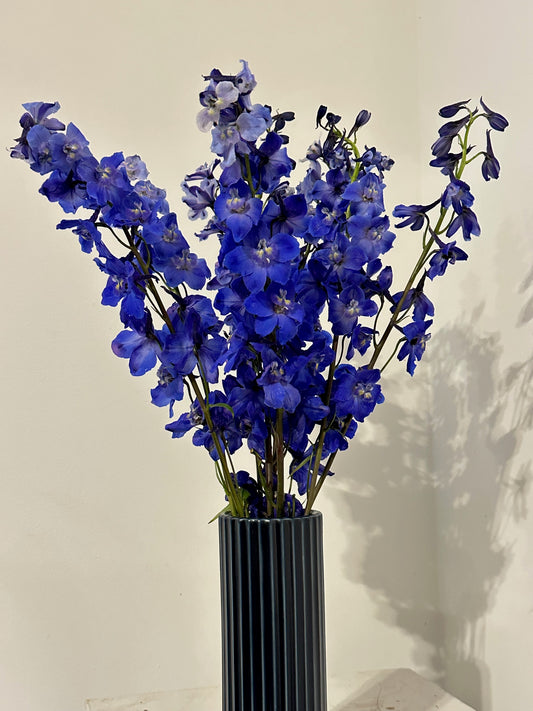 Midnight Delphiniums in Dark Blue Fable Vase