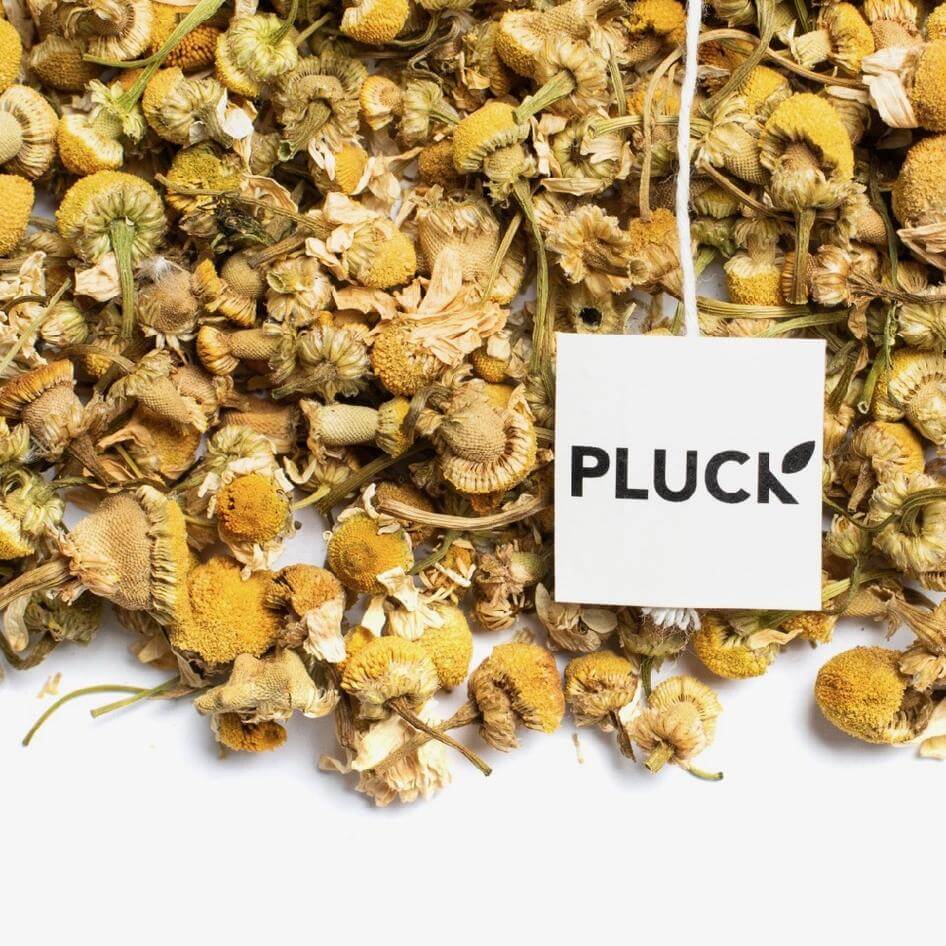 PLUCK Chamomile Flower Organic Tea (20 servings in glass jar), by Lou-Lou's Flower Truck