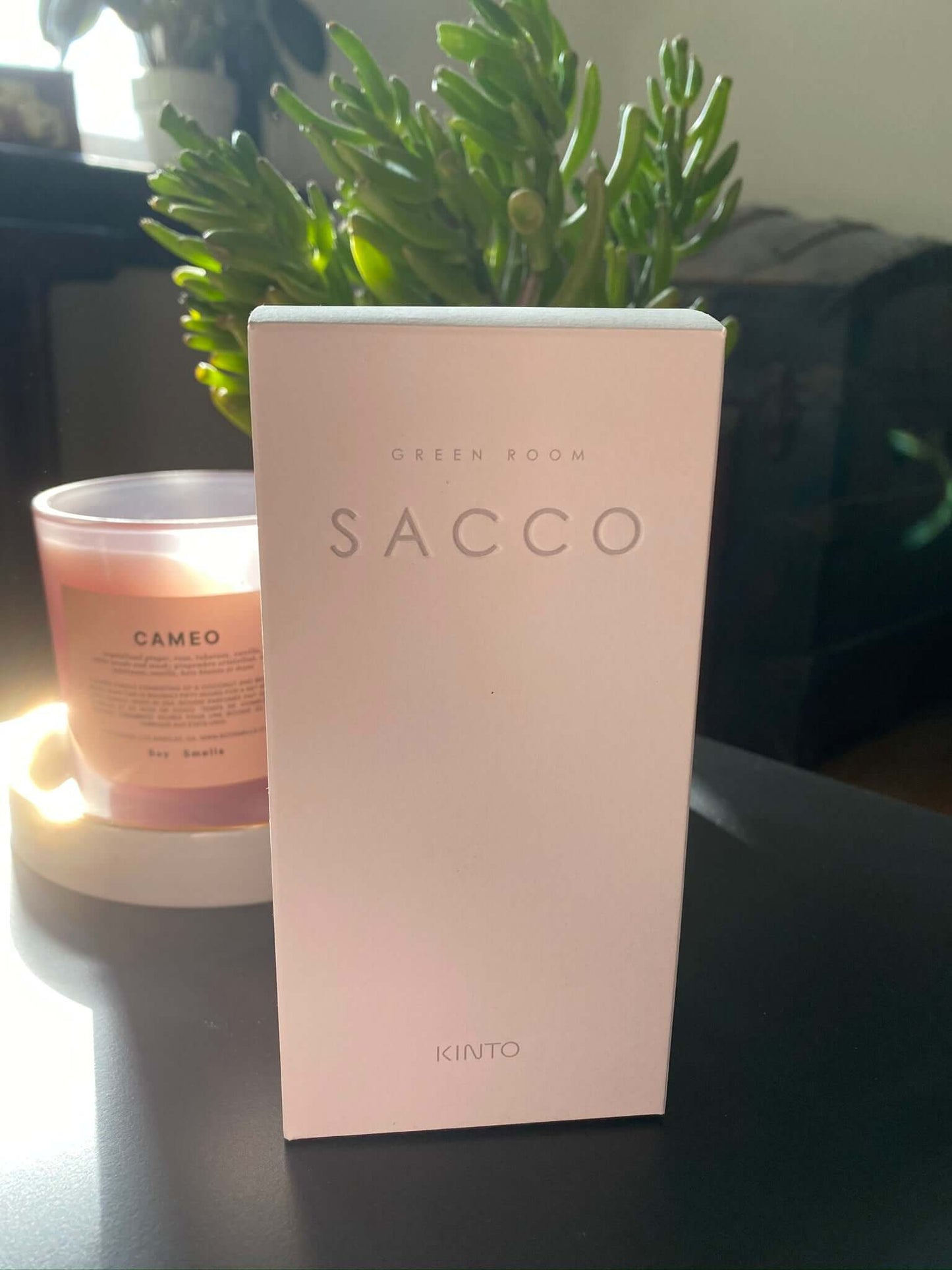 Dried White Ruscus in Kinto SACCO Porcelain Vase (Pink), by Lou-Lou's Flower Truck