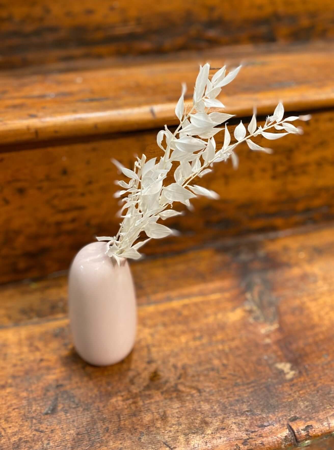 Dried White Ruscus in Kinto SACCO Porcelain Vase (Pink), by Lou-Lou's Flower Truck