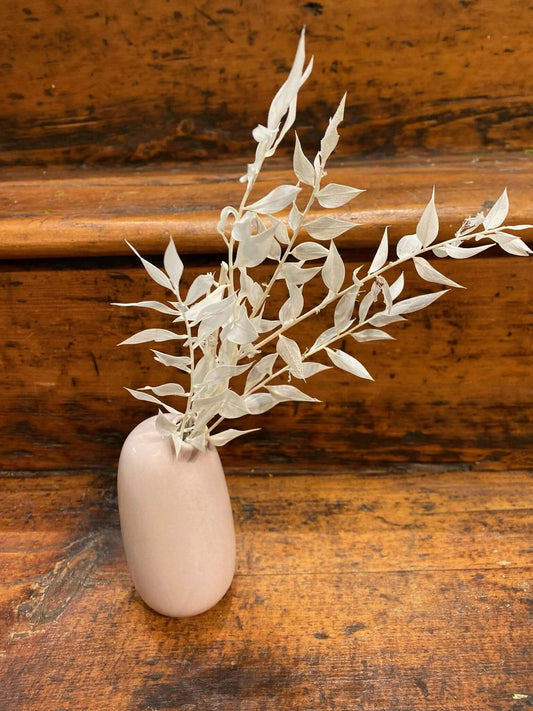 Dried White Ruscus in Kinto SACCO Porcelain Vase (Pink), by Lou-Lou's Flower Truck