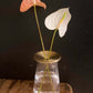 Tall Kinto LUNA Vase, by Lou-Lou's Flower Truck