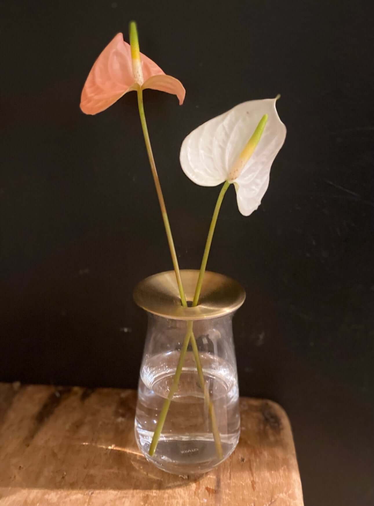 Tall Kinto LUNA Vase, by Lou-Lou's Flower Truck