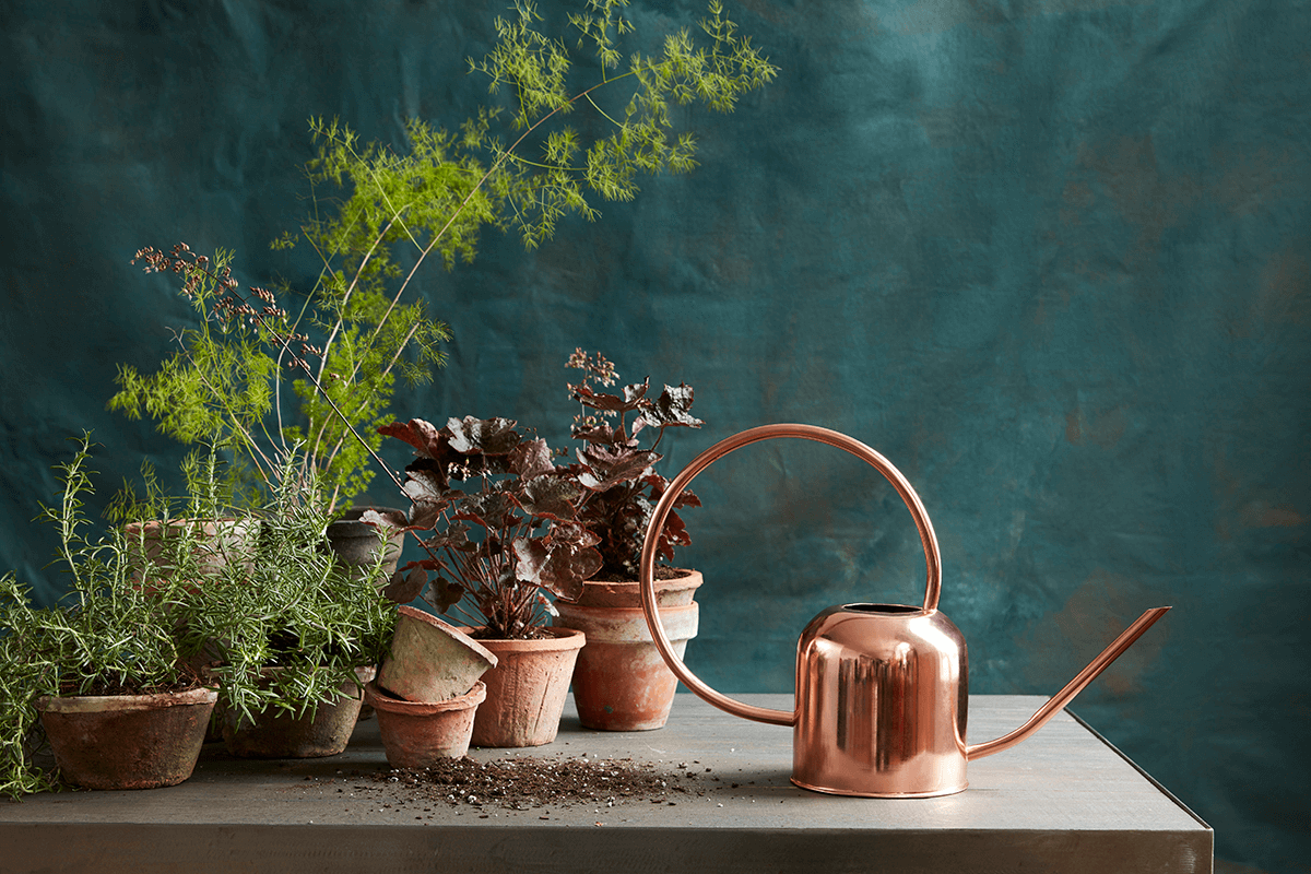 The Floral Society Copper Watering Can, by Lou-Lou's Flower Truck